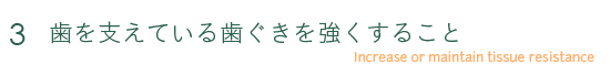 3 歯を支えている歯ぐきを強くすること